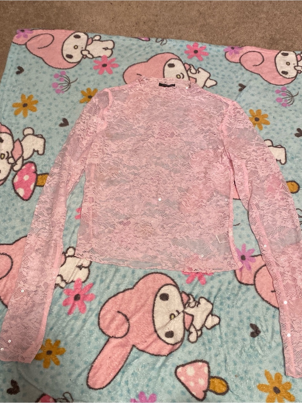wild fable Pink Lace Long-Sleeve Sheer Top